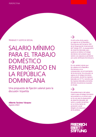 Salario mínimo para el trabajo doméstico remunerado en la República Dominicana