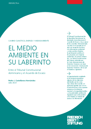 El medio ambiente en su laberinto